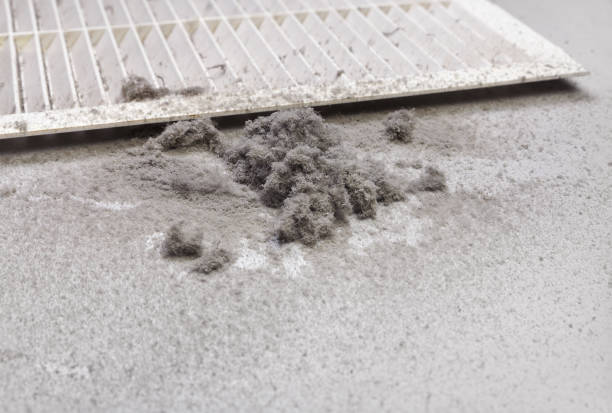 Best Professional Duct Cleaning Services  in Cornwells Heights, PA