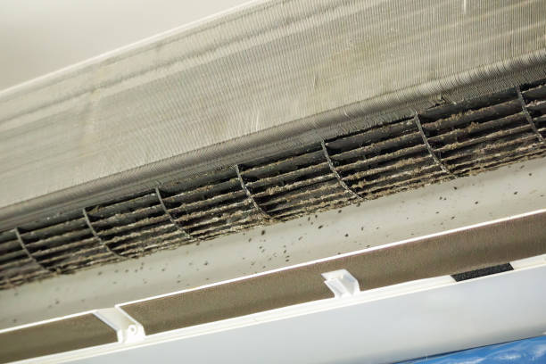 Best Air Duct Cleaning Company Near Me  in Cornwells Heights, PA